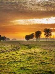 Bodhisattva of Compa