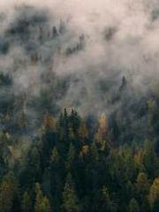 lt;lt; The Divine Do