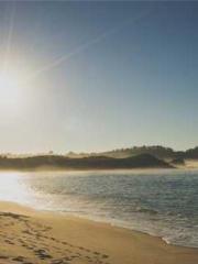 lt;lt;lt;The Peerles lt;lt;lt;The Peerles