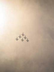 Peninsula Asteroid l