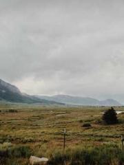 The Rough Man Hunter