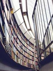 Become a big shot in Become a big shot in