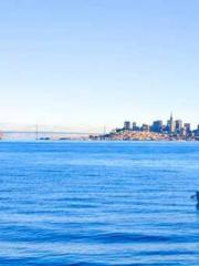 I Picked Up a Cultiv I Picked Up a Cultiv