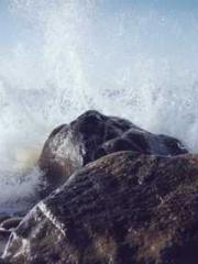 Lin Feng Lin Yun Yao