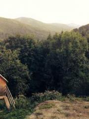 Lin Feng Lin Yun Yao