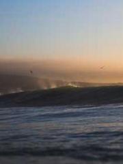 lt;Honor calls for N